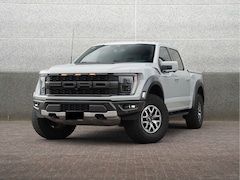 Ford F150 - Ford F-150 Raptor 3.5L EcoBoost V6 | 457 pk | 4x4 | LPG G3 | Grijs kenteken | BTW-auto |