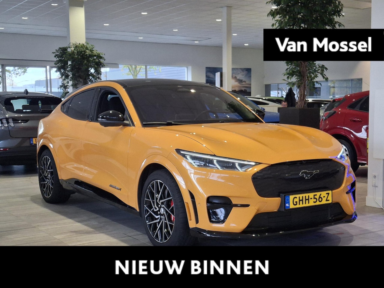 Ford Mustang Mach-E - GT Extended AWD 98 kWh | B&O | ACC | Sportstoelen | Apple CarPlay | Memory Seat | - AutoWereld.nl