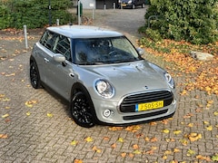 MINI One - 1.5 One Salt Apple CarPlay - Digitaal display - Lm Velgen - Cruise Control - Dab tuner - Navigatie
