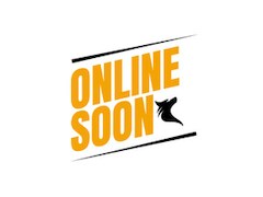 Toyota Auris - 1.8 Hybride | Automaat