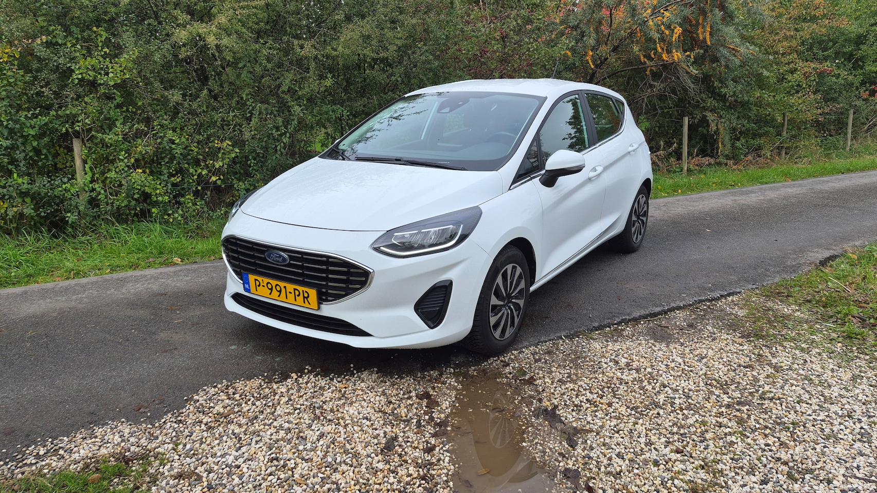 Ford Fiesta - 1.0 EcoBoost Hybrid Titanium - AutoWereld.nl
