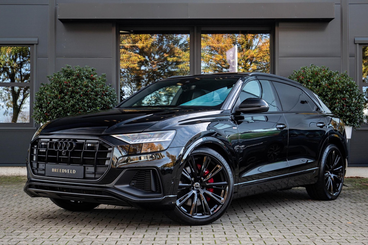 Audi Q8 - 55 TFSI e quattro Pro Line S 55 TFSI e quattro Pro Line S - AutoWereld.nl