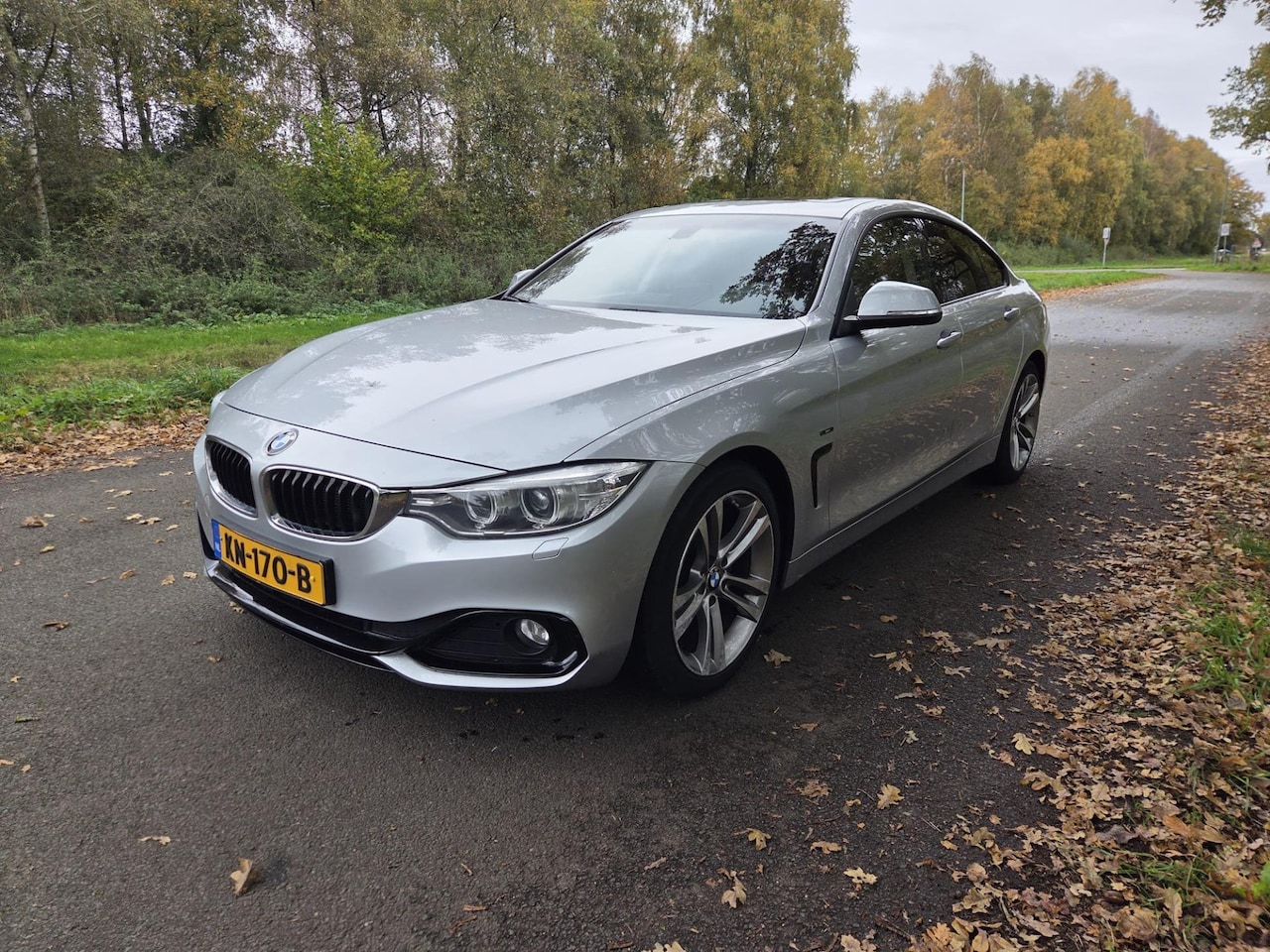 BMW 4-serie Gran Coupé - 420d High Executive 420d High Executive - AutoWereld.nl