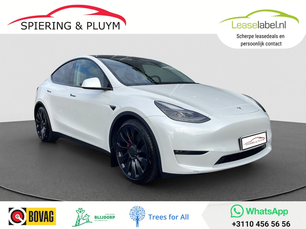 Tesla Model Y - Performance AWD 75 kWh - AutoWereld.nl
