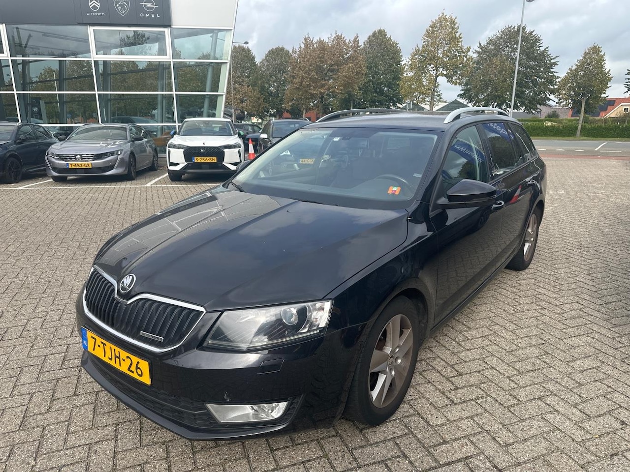 Skoda Octavia Combi - 2014 * 1.6 TDI Greenline * CLIMA * NAVI * LED * EURO 5 * APK 2026 * KM NAP - AutoWereld.nl