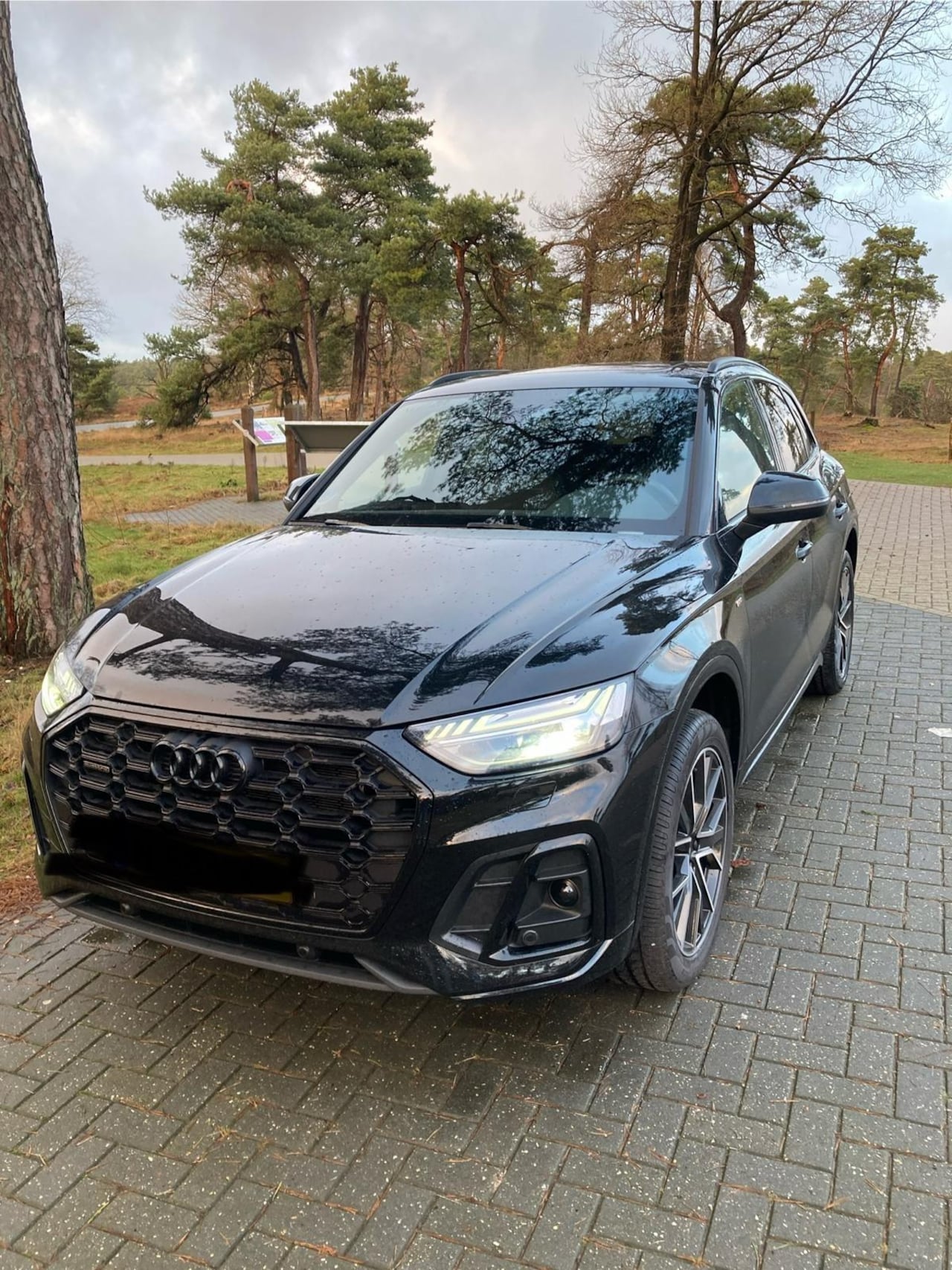 Audi Q5 - 55 TFSI e S edition 55 TFSI e S edition - AutoWereld.nl