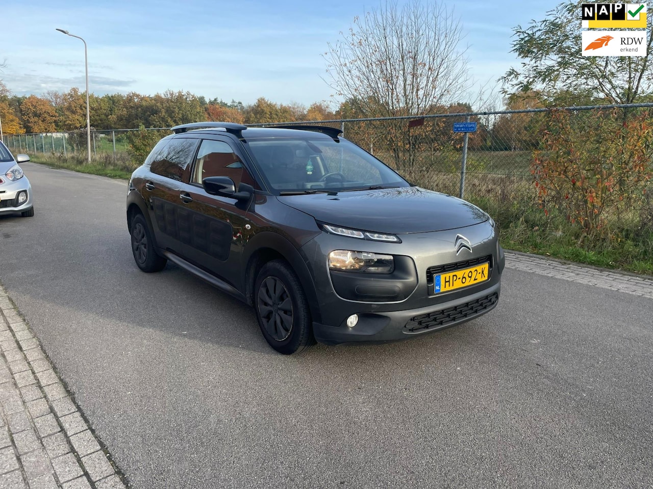 Citroën C4 Cactus - 1.6 BlueHDi Business 1.6 BlueHDi Business - AutoWereld.nl