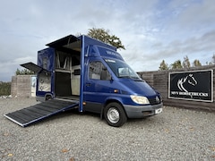 Mercedes-Benz Sprinter - PAARDENWAGEN Nuyts 2XL | AUTOMAAT | PRO SAFETY | MARGE | BEZICHTIGEN OP AFSPRAAK