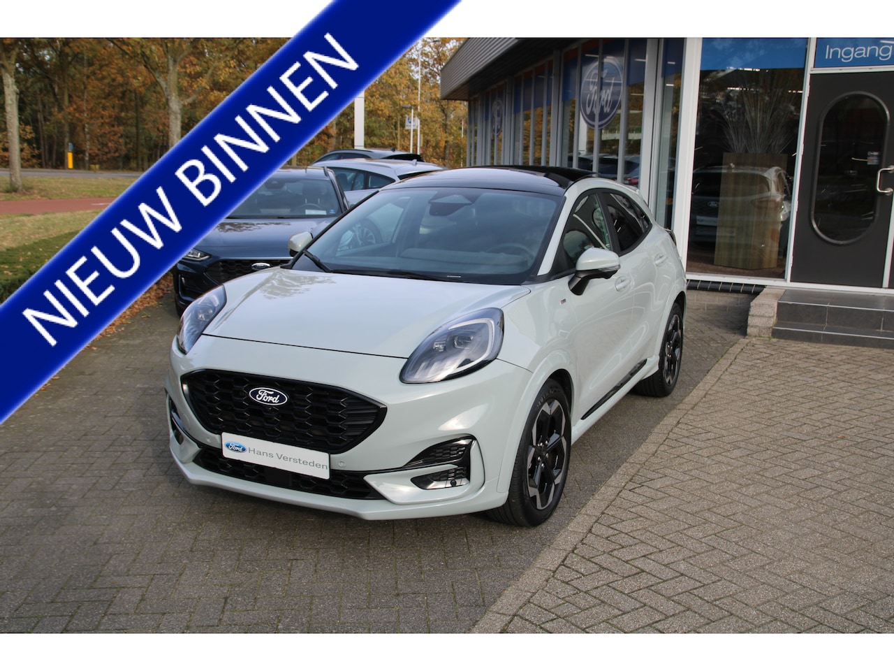 Ford Puma - 1.0 EcoBoost Hybrid ST-Line X TREKHAAK AFNEEMBAAR| PANORAMADAK | WINTER PACK | B&O - AutoWereld.nl