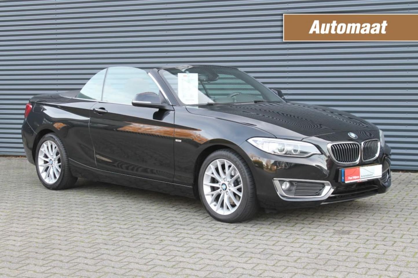 BMW 2-serie Cabrio - 2-Serie Cabrio 220i BMW Luxury Uitv. AUTOMAAT-NAVIGATIE - AutoWereld.nl