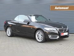 BMW 2-serie Cabrio - 2-Serie 220i Luxury Uitv. AUTOMAAT-NAVIGATIE