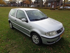 Volkswagen Polo - 11-11-2026 a p k