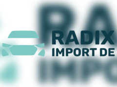 Radix Import DE logo