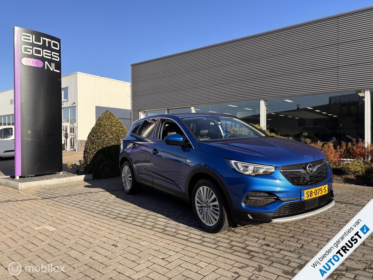 Opel Grandland X - 1.2 Turbo Executive Automaat - AutoWereld.nl