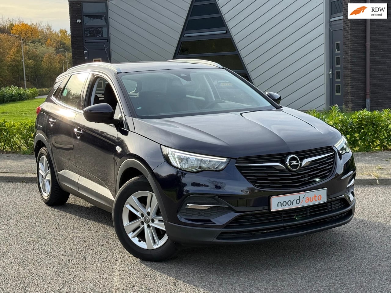 Opel Grandland X - 1.2 Turbo Business Edition | Cruise | Trekhaak | - AutoWereld.nl