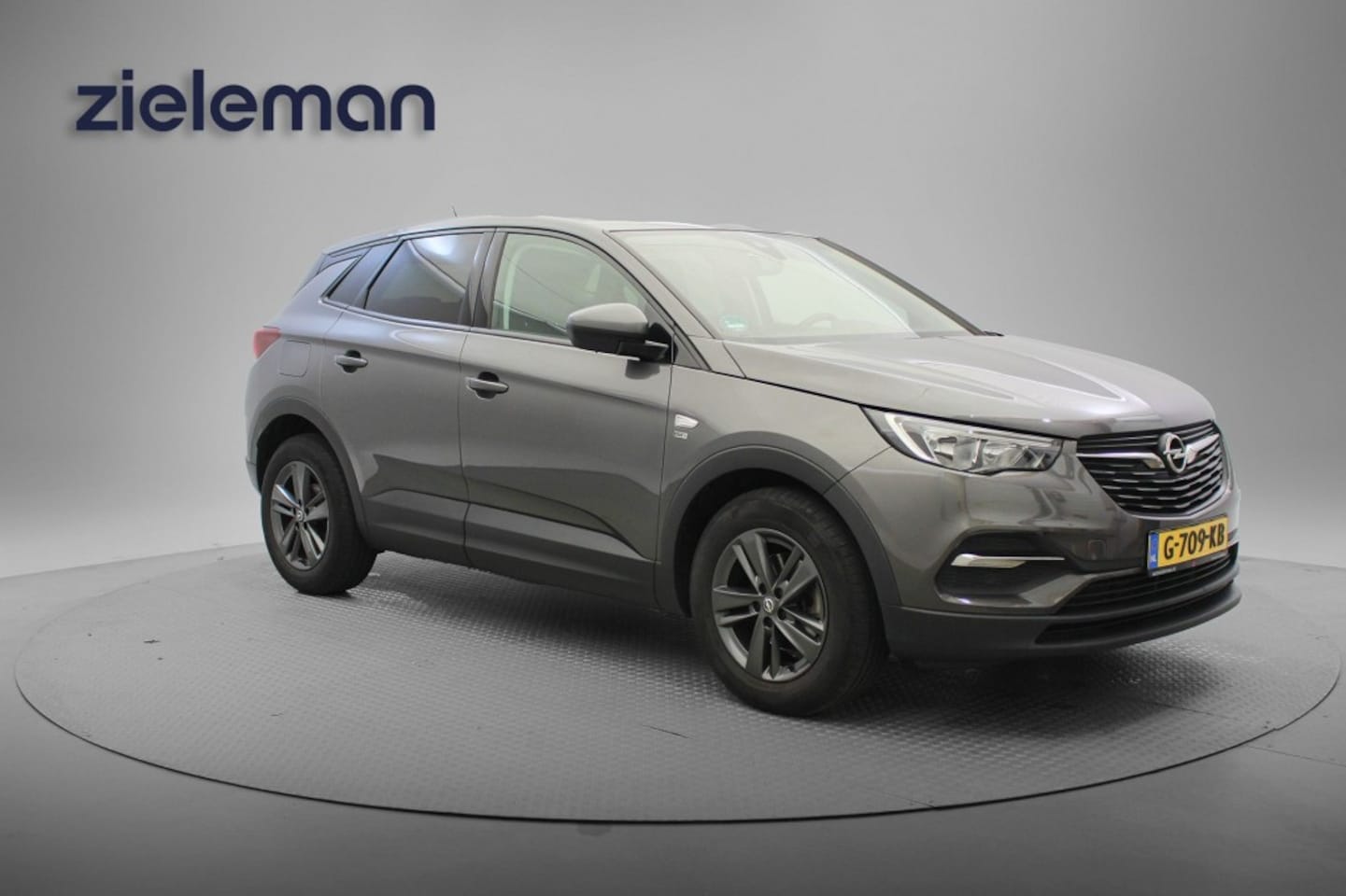 Opel Grandland X - 1.2 Turbo 120 Jaar Edition - Carplay, Cruise, Clima - AutoWereld.nl