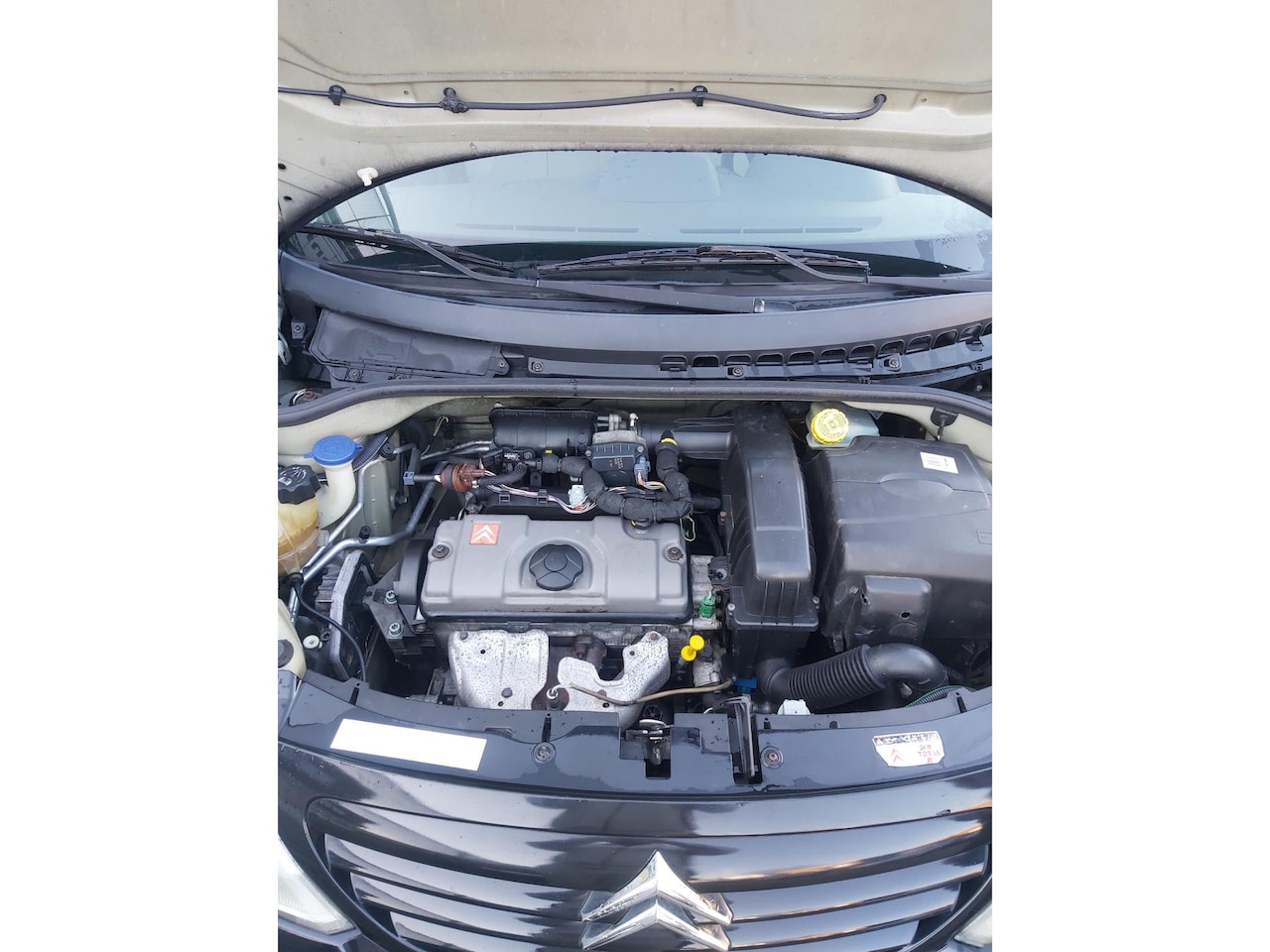 Citroën C3 - 1.4i Exclusive 1.4i Exclusive - AutoWereld.nl