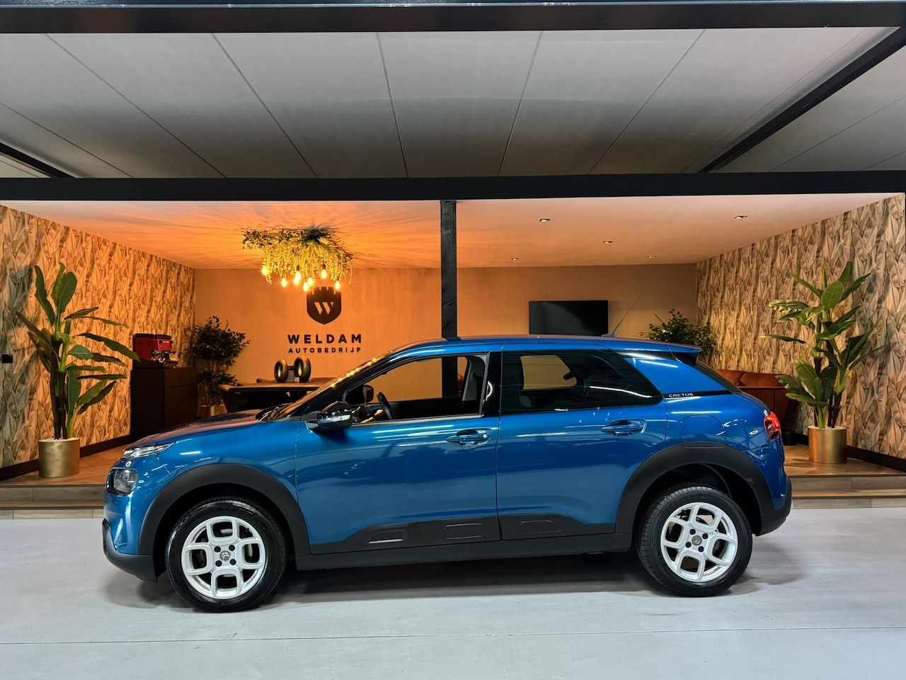 Citroën C4 Cactus - 1.2 PureTech Feel Garantie Carplay Cruise Clima Navi Lane Led PDC Rijklaar - AutoWereld.nl