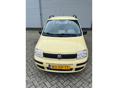 Fiat Panda - 1.1 Young