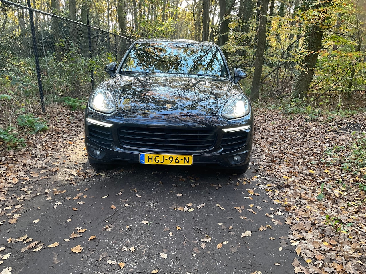 Porsche Cayenne - 3.0 D Platinum Edition Turbo Diesel - AutoWereld.nl
