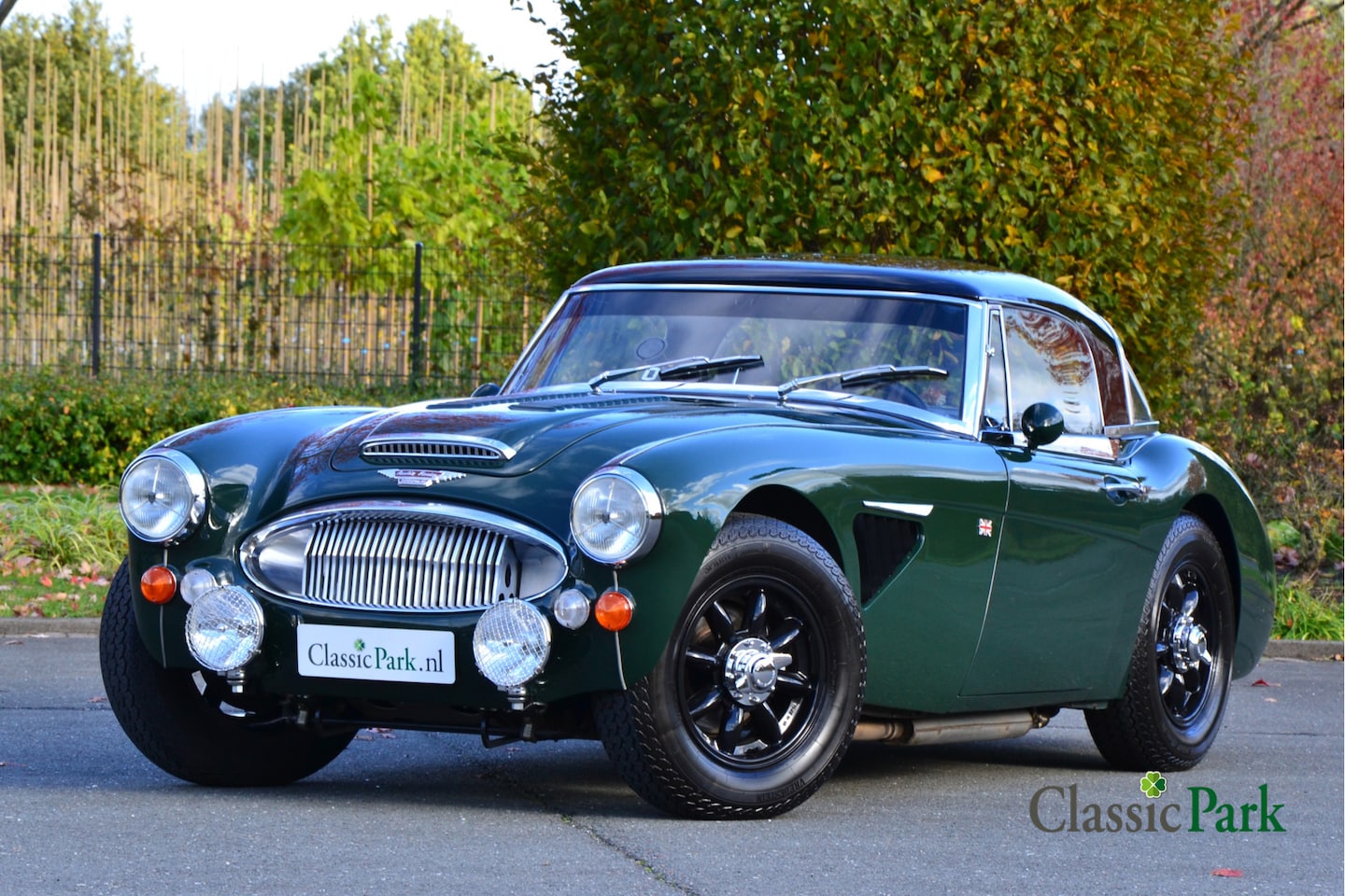 Austin Mk III - Austin-Healey 3000 - AutoWereld.nl