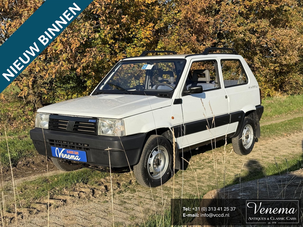 Fiat Panda - Panda 4x4 - AutoWereld.nl