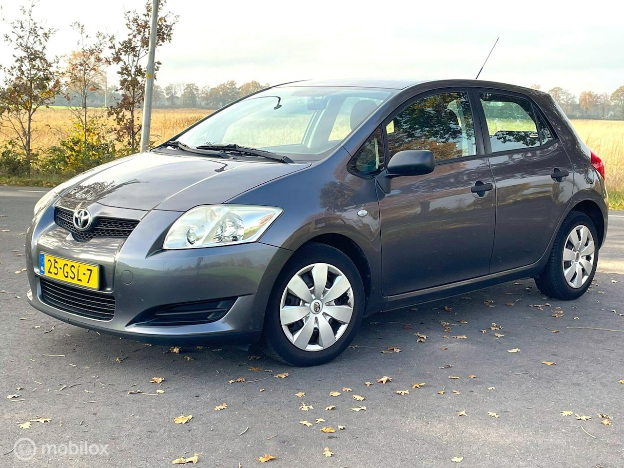 Toyota Auris - 1.4-16V NAP - AutoWereld.nl