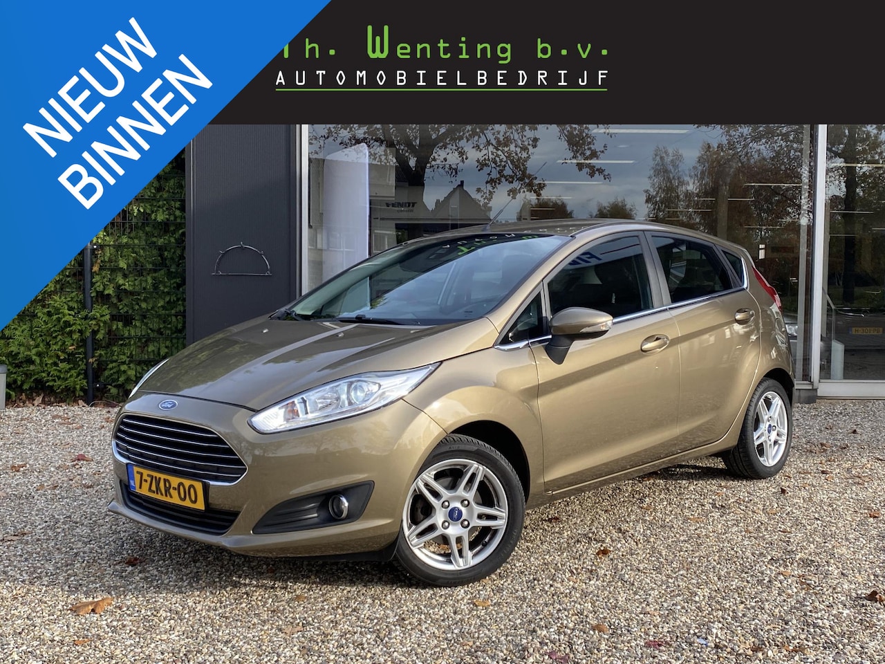 Ford Fiesta - 1.0 EcoBoost Titanium | Voorruitverwarming | Cruise Control | Klimaat Controle | Ledverlic - AutoWereld.nl