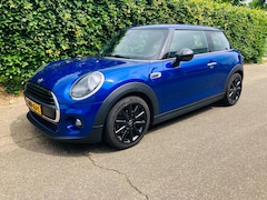 MINI One - 1.5 Chili