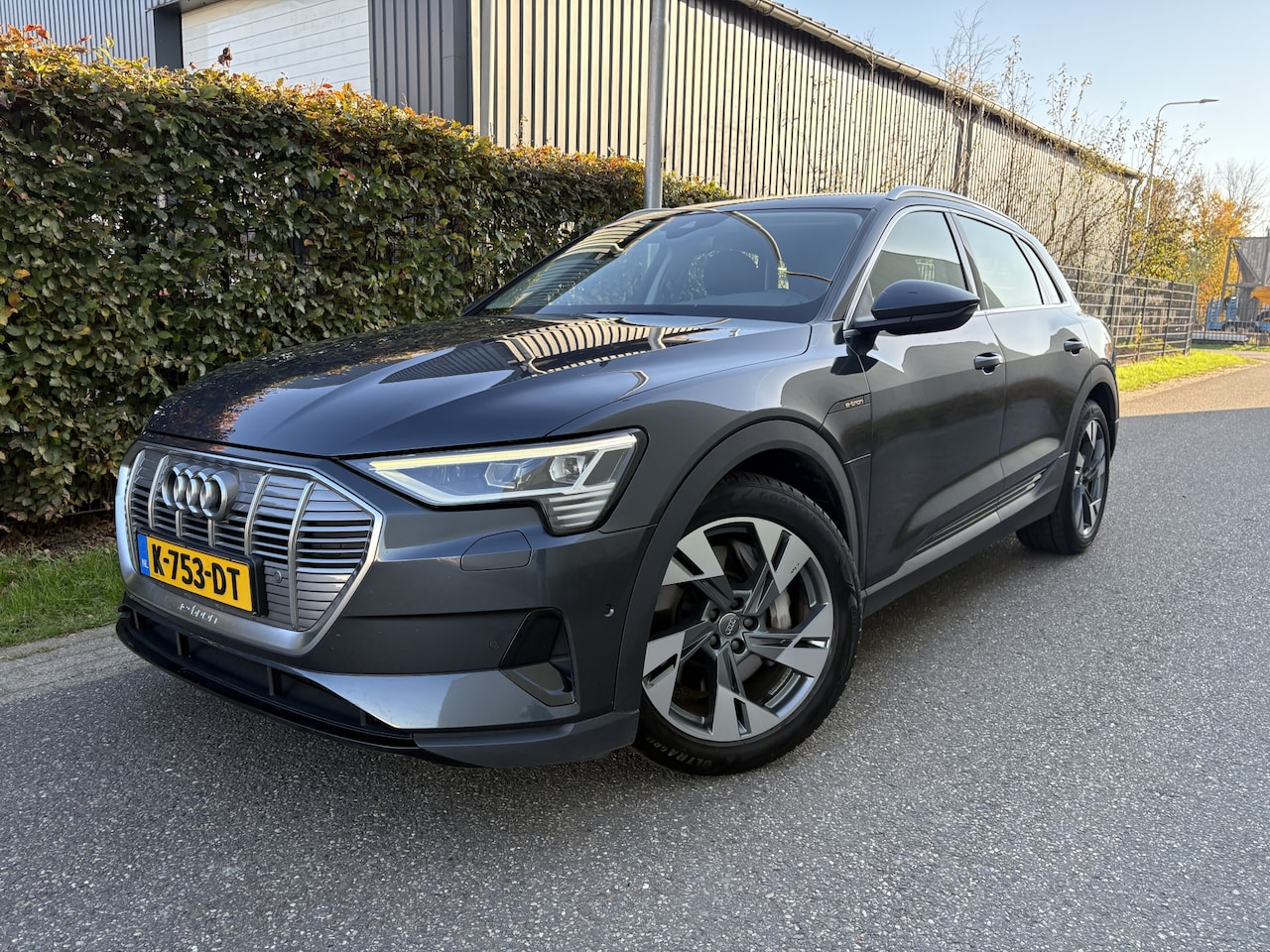 Audi e-tron - 50 quattro Business edition 71 kWh / AUTOMAAT / NAVI / CRUISE - AutoWereld.nl