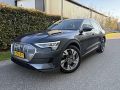 Audi e-tron - 50 quattro Business edition 71 kWh / AUTOMAAT / NAVI / CRUISE