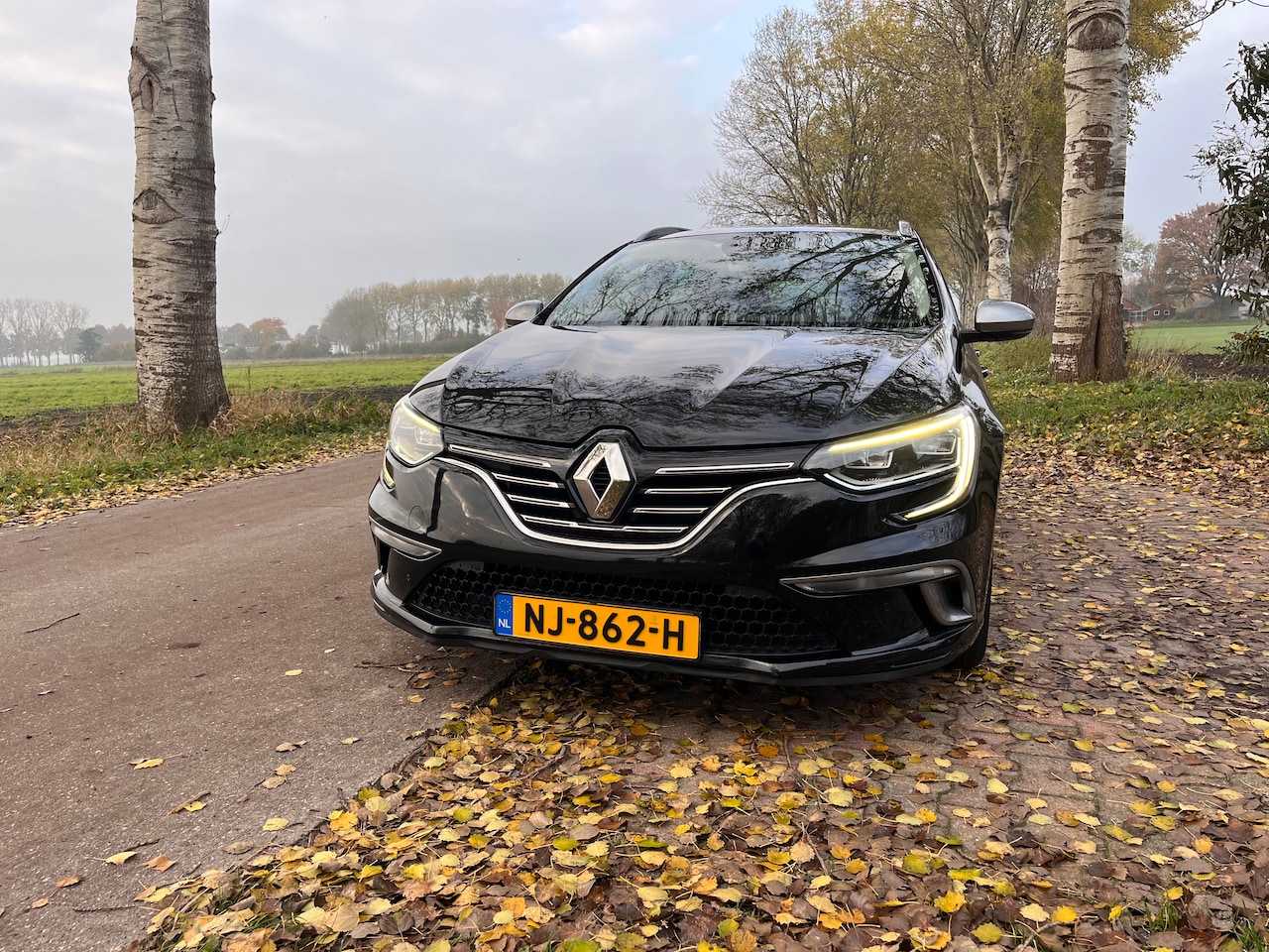 Renault Mégane Estate - 1.2 TCe GT-Line 1.2 TCe GT + BOSE + PURE LED + NAVIGATIE + LM VELGEN - AutoWereld.nl