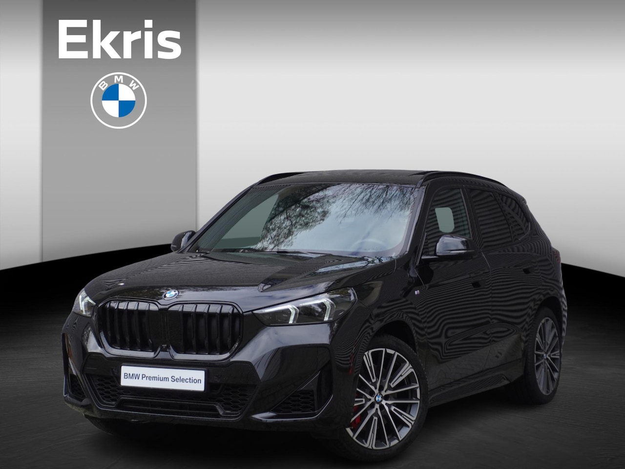 BMW X1 - xDrive23i M Sportpakket Pro | Comfort Pack | Trekhaak met elektrisch wegklapbare kogel | G - AutoWereld.nl