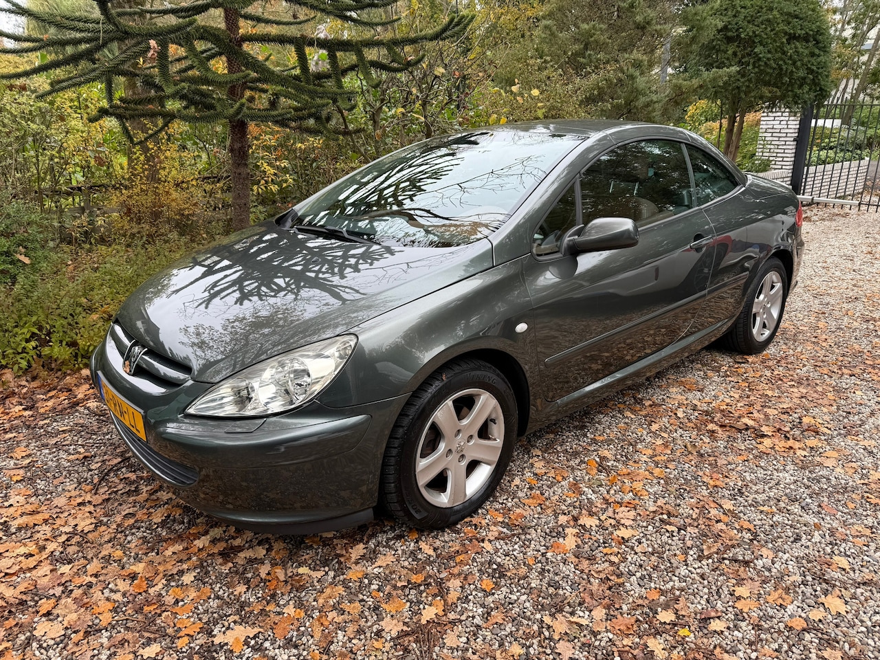 Peugeot 307 CC - 2.0-16V 2.0-16V Nieuwe APK! - AutoWereld.nl