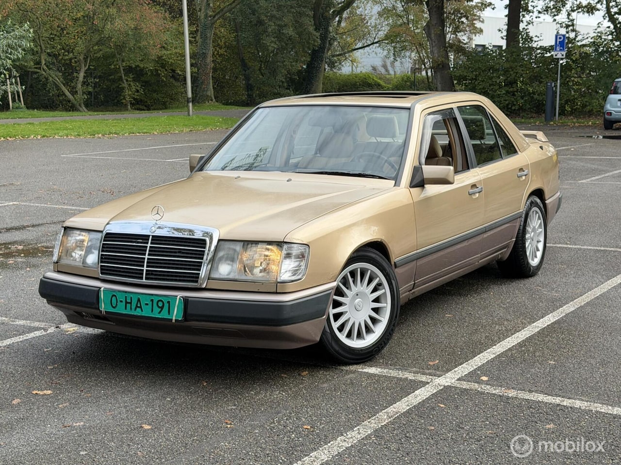 Mercedes-Benz 250 - 200-500 D - AutoWereld.nl