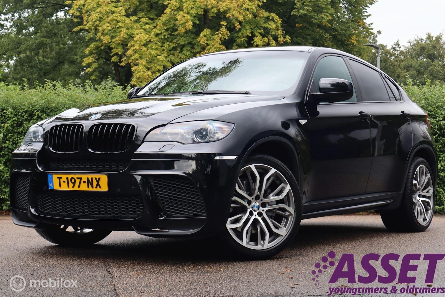 BMW X6 - xDrive50i High Executive - AutoWereld.nl