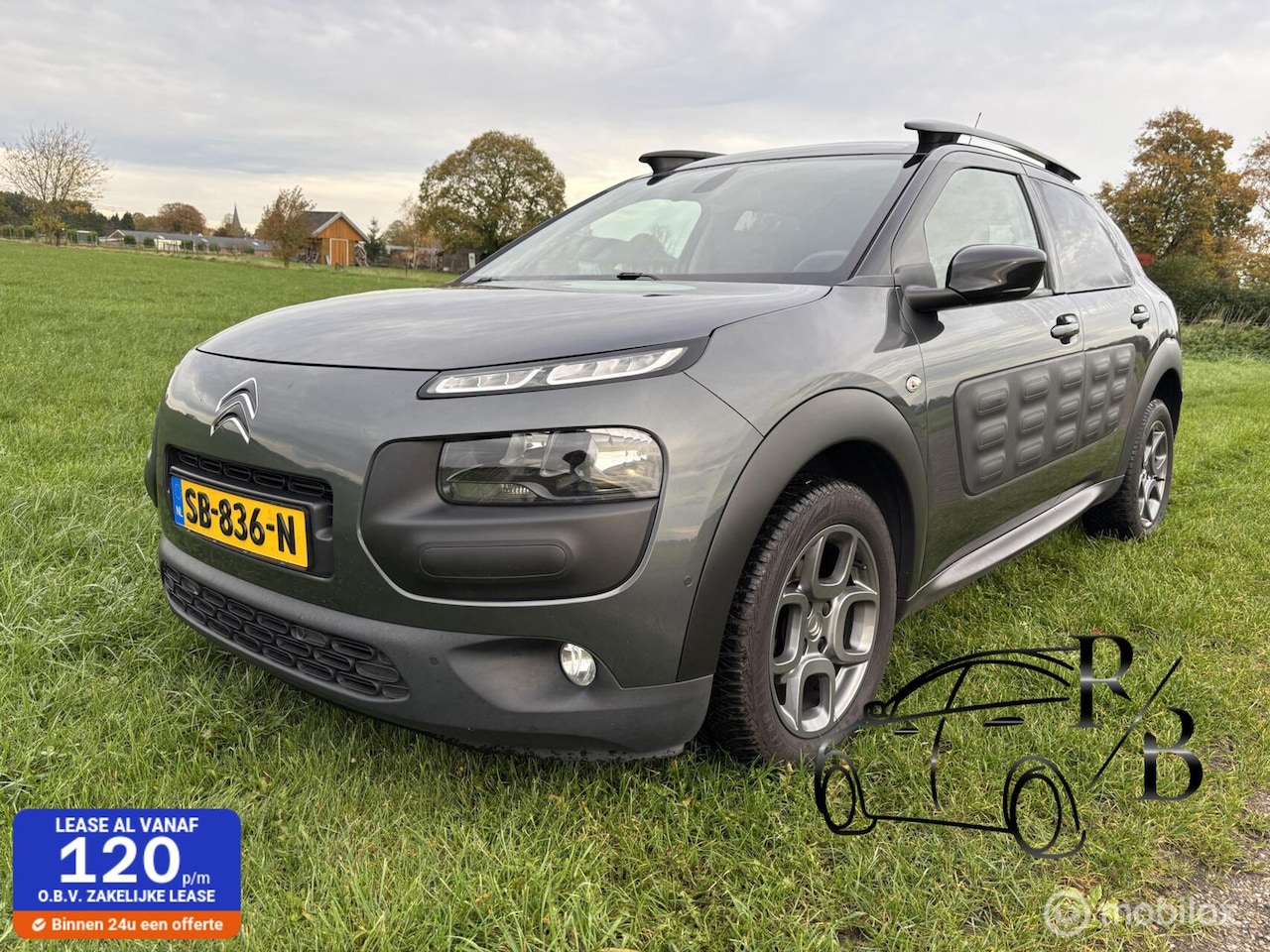 Citroën C4 Cactus - 1.6 BlueHDi Business Plus AIRCO NAVI CRUISE - AutoWereld.nl