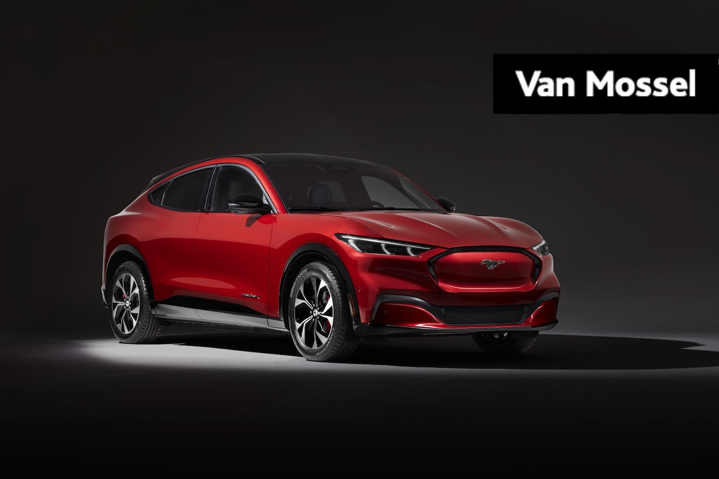 Ford Mustang Mach-E - Extended Premium AWD 98 kWh Ford Mustang Mach-E 98kWh Extended AWD Premium | Nieuw Te Best - AutoWereld.nl