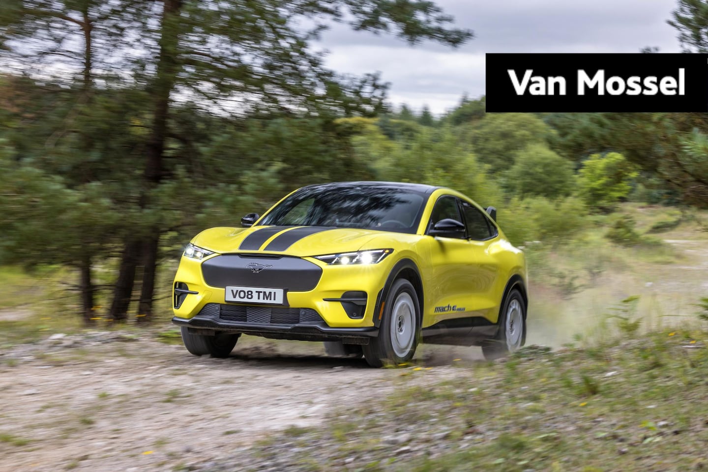 Ford Mustang Mach-E - Rally Extended AWD 98 kWh Ford Mustang Mach-E 98kWh Ext AWD Rally | Nieuw Te Bestellen | V - AutoWereld.nl