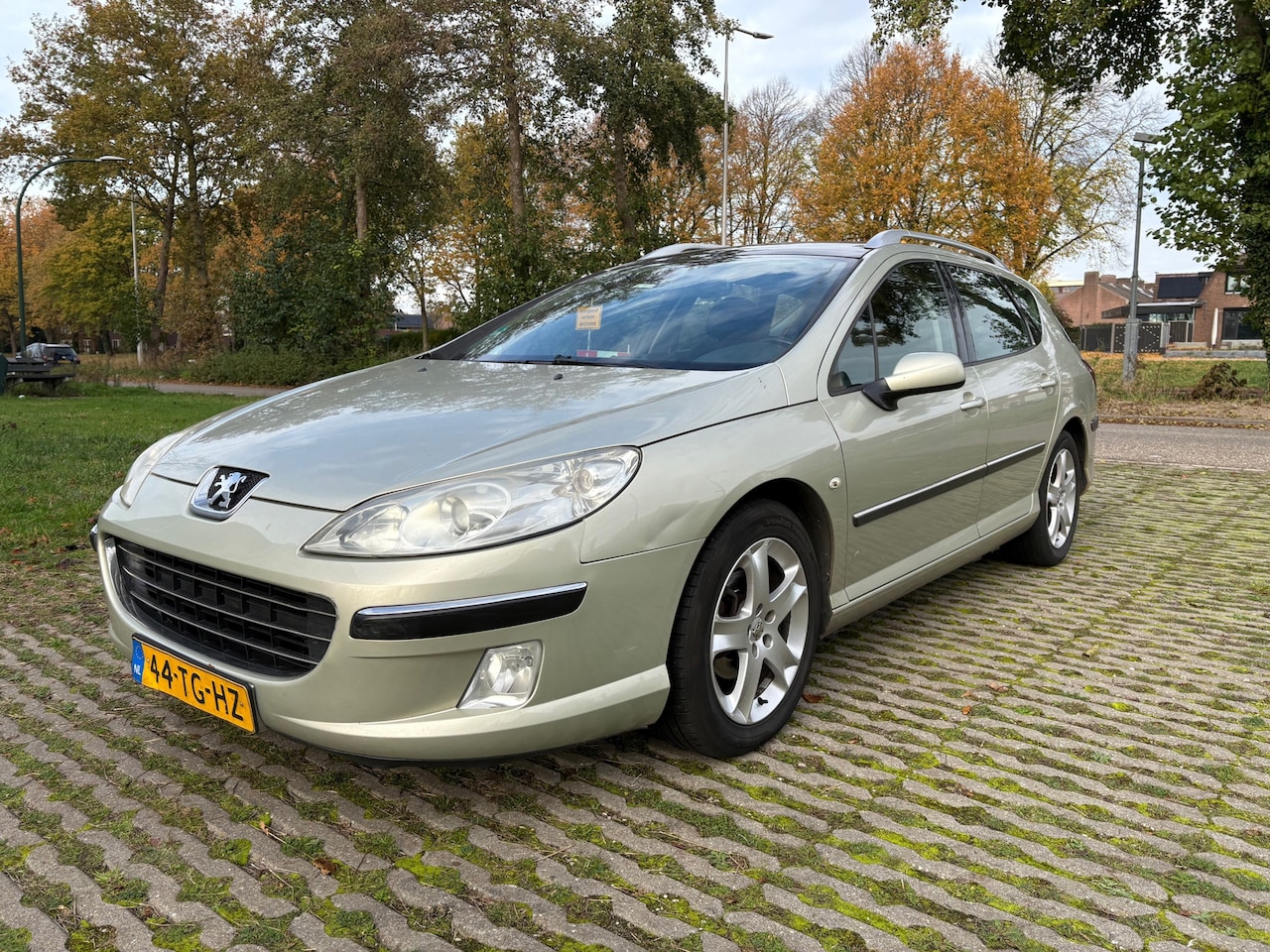 Peugeot 407 SW - 2.0 HDiF XS / automaat / panorama dak / airco / cruise control - AutoWereld.nl