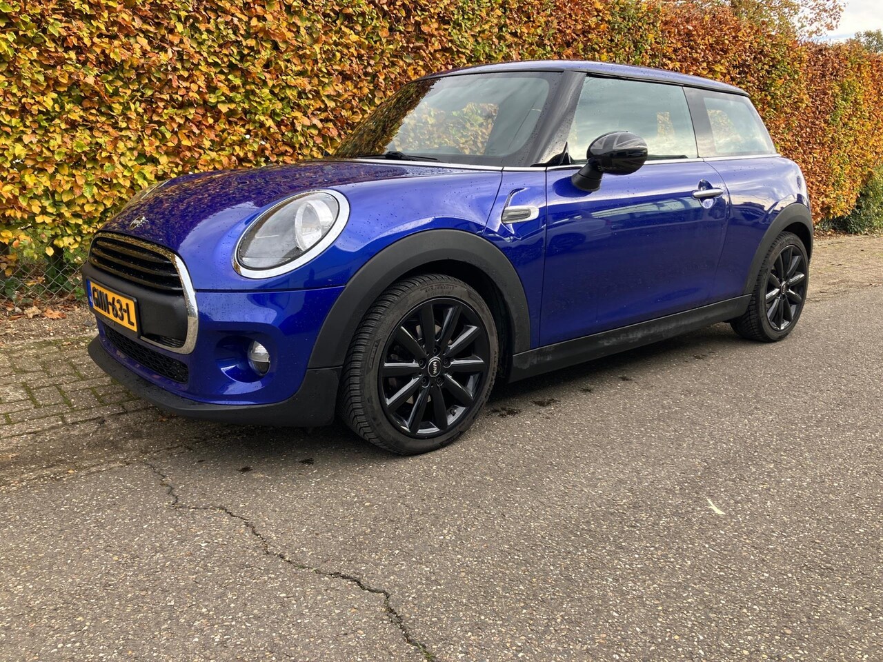 MINI ONE