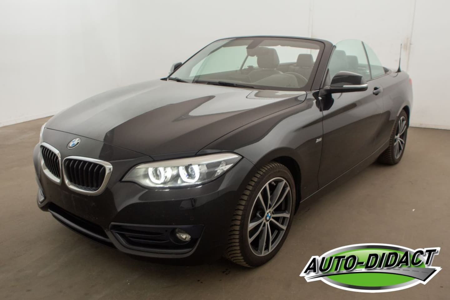 BMW 2-serie Cabrio - 218i Clima Navi CARPAS - AutoWereld.nl