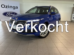 Skoda Kamiq - 110pk TSI Business Edition winterpakket-trekhaak-cruise