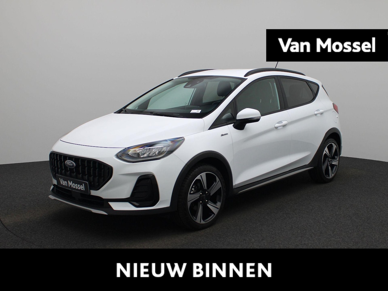 Ford Fiesta - 1.0i EcoBoost 70kW Active Winterpack | PDC | Navigatie | Apple Carplay | DAB | Cruise cont - AutoWereld.nl