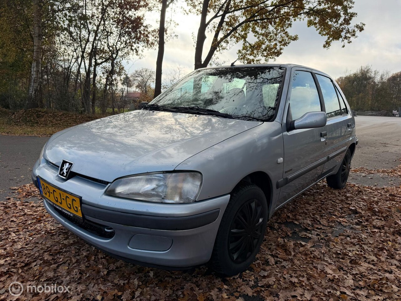 PEUGEOT 106