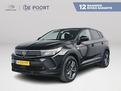 Opel Grandland - 1.2 Turbo Business Edition | Parkeercamera | Navigatie | Extra getint glas achter
