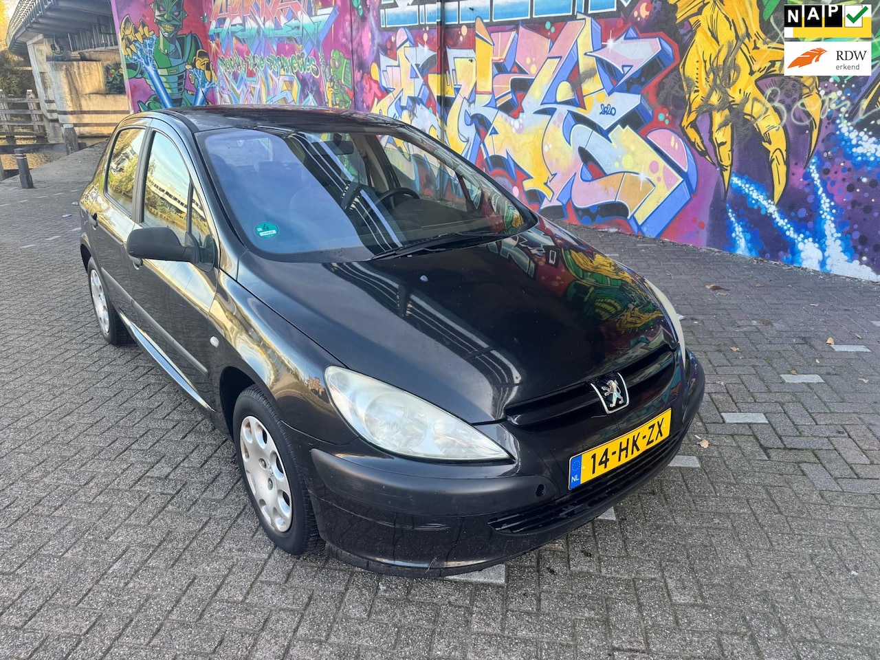 Peugeot 307 - 1.6-16V XR airco elektrische ramen cv trekhaak rijd heerlijk lak op dak niet mooi - AutoWereld.nl