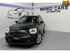 MINI Countryman - 2.0 Cooper S E ALL4 Salt 224 PK NAVI