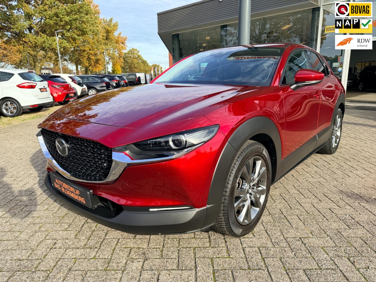 Mazda CX-30 - 2.0 e-SkyActiv-X M Hybrid Luxury, Automaat, Navi, leer, trekhaak, etc. - AutoWereld.nl