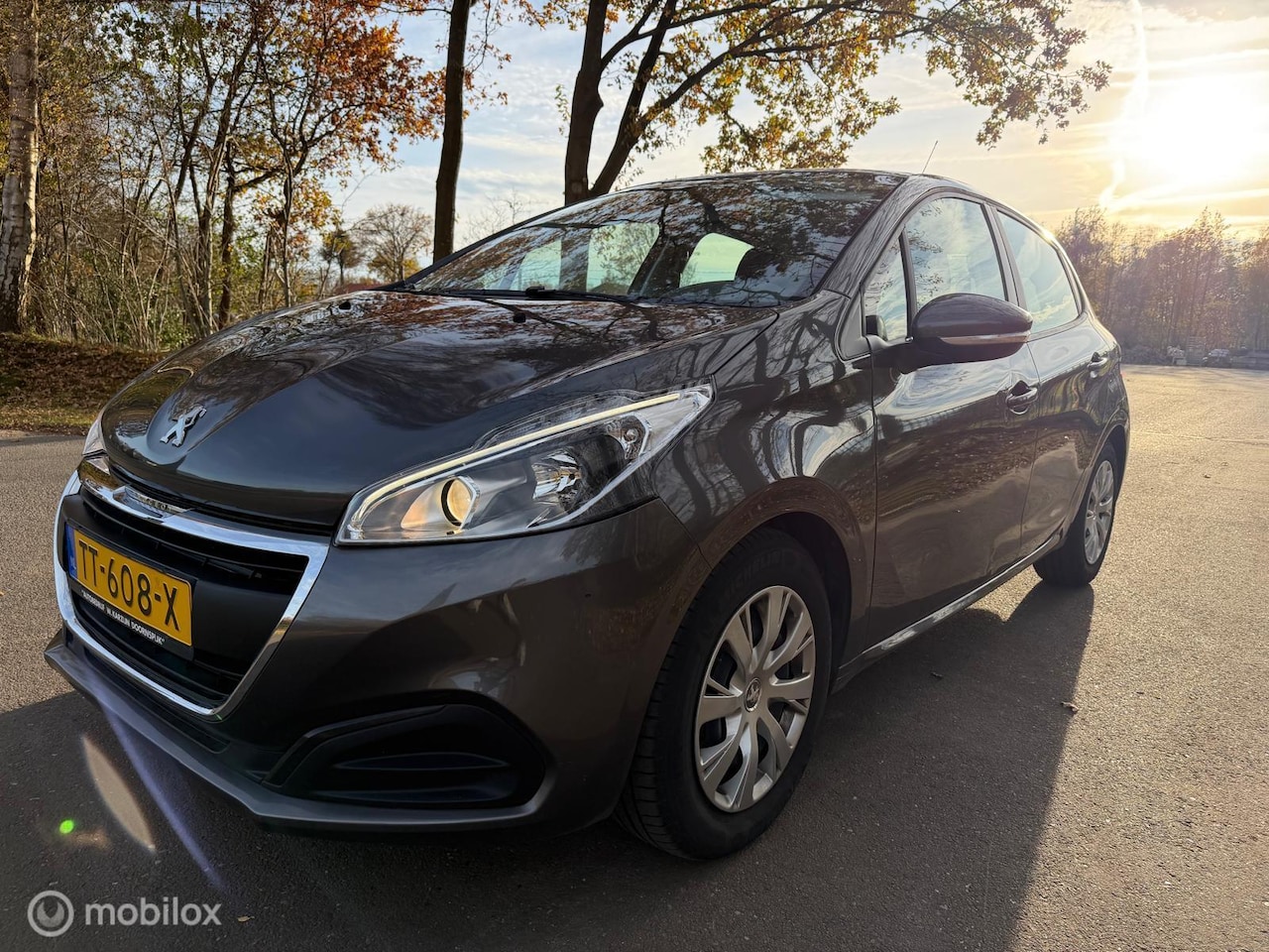 Peugeot 208 - 1.2 PureTech Active/1e eigenaar/nwe distributie - AutoWereld.nl